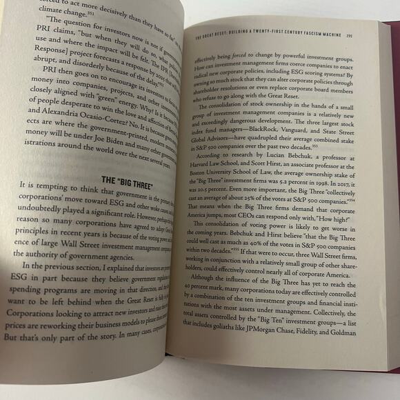 The Great Reset - Picture 3 of 6